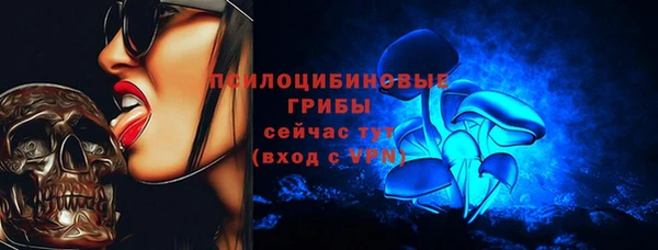 дживик Белокуриха