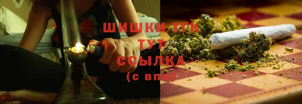 дживик Белокуриха