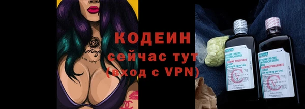 дживик Белокуриха
