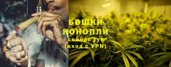 дживик Белокуриха