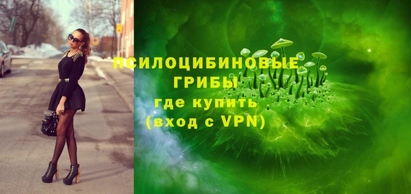 дживик Белокуриха