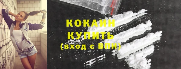 дживик Белокуриха